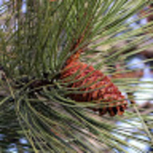 Meet your Posher, Jen